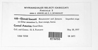 Elsinoe fawcettii image